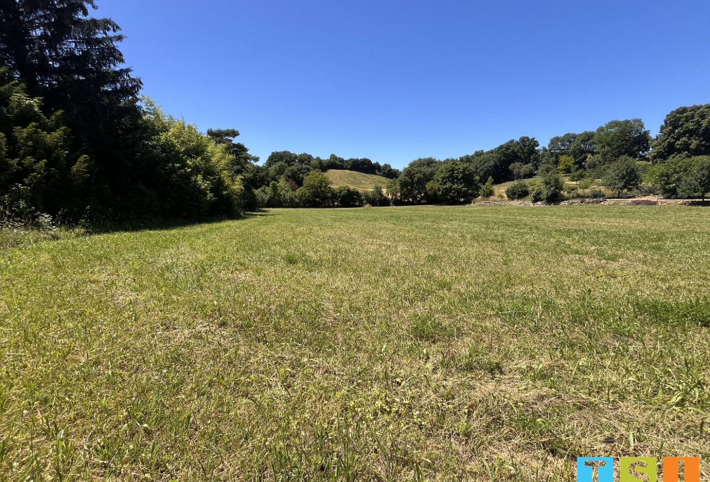 vente Terrain Aulon - Photo 1