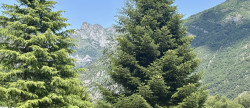 vente Terrain à lotir Saint Beat Lez