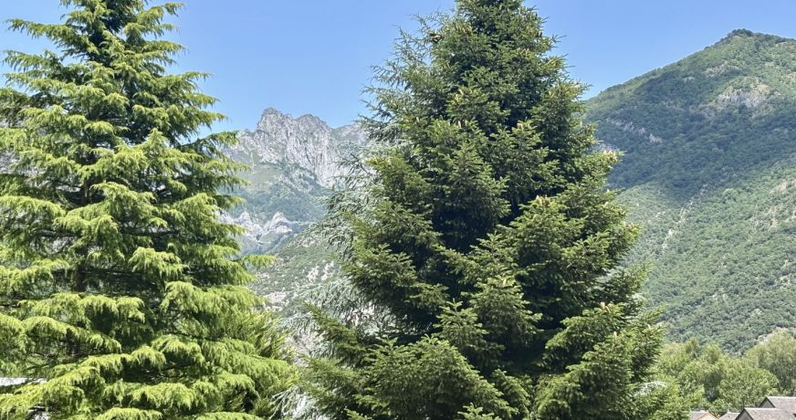 vente Terrain à lotir Saint Beat Lez