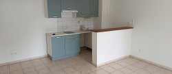 vente Appartement Montrejeau