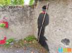 vente Maison Mauleon Barousse