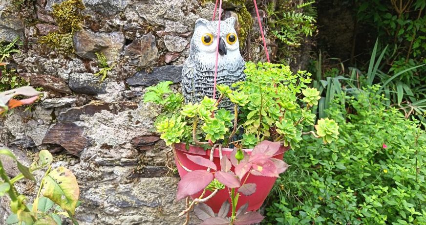 vente Maison Mauleon Barousse