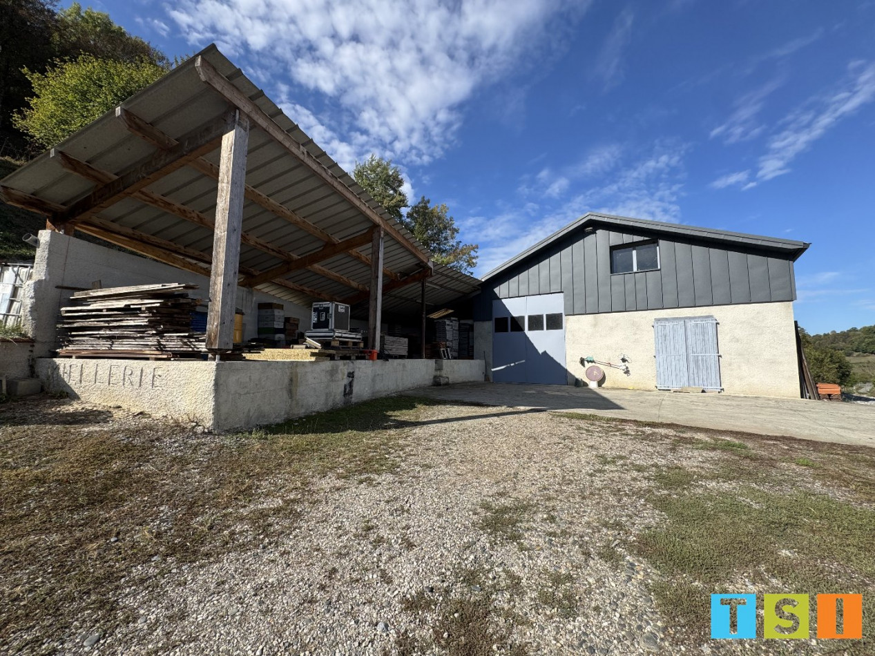 vente Hangar Sauveterre De Comminges - Photo 1