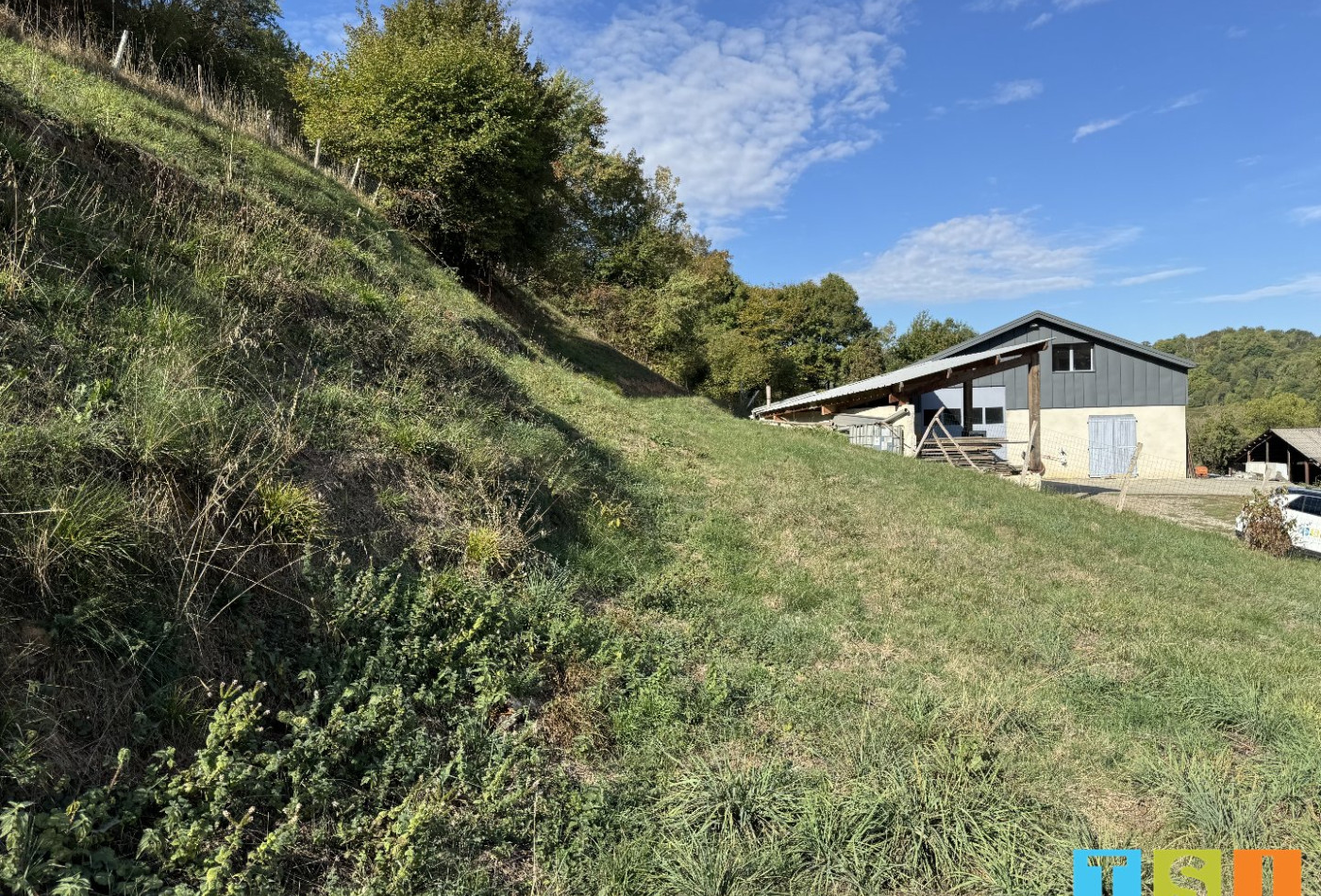 vente Hangar Sauveterre De Comminges - Photo 4