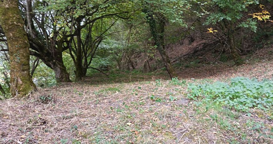 vente Maison Loures Barousse