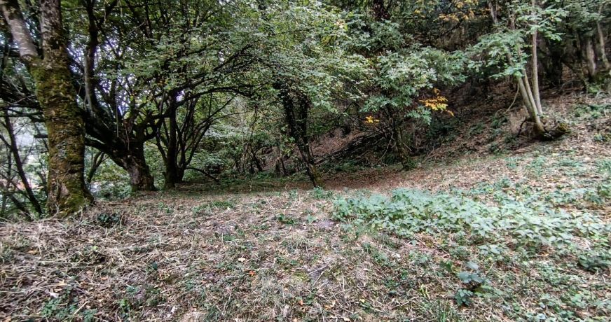 vente Maison Loures Barousse