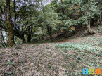 vente Maison Loures Barousse