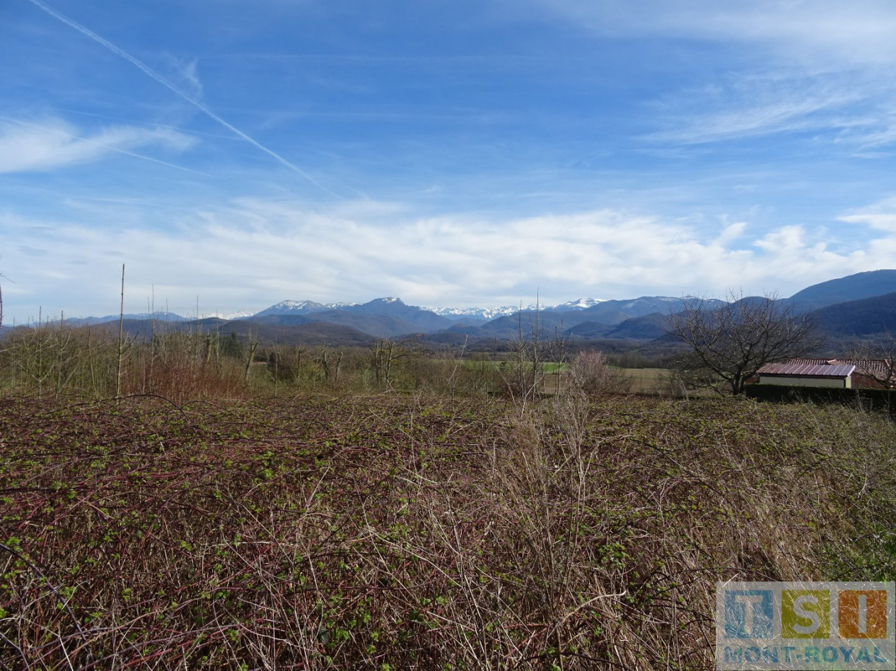Vente Terrain Non Constructible Montrejeau 3280m 8 000