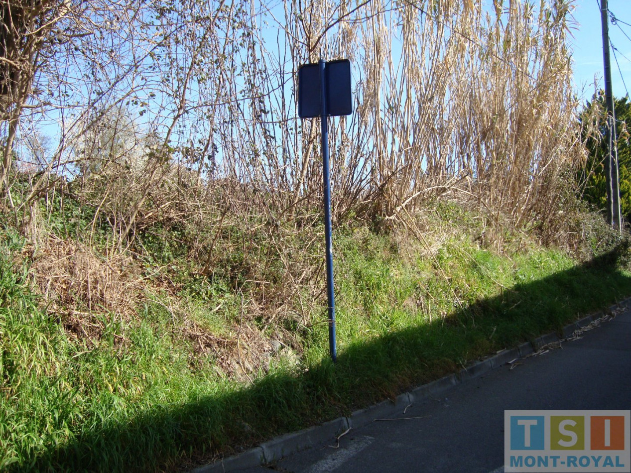 vente Terrain Saint Gaudens - Photo 5