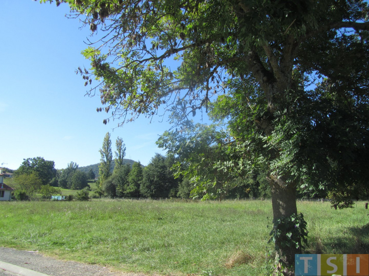 vente Terrain constructible Labarthe Riviere - Photo 1