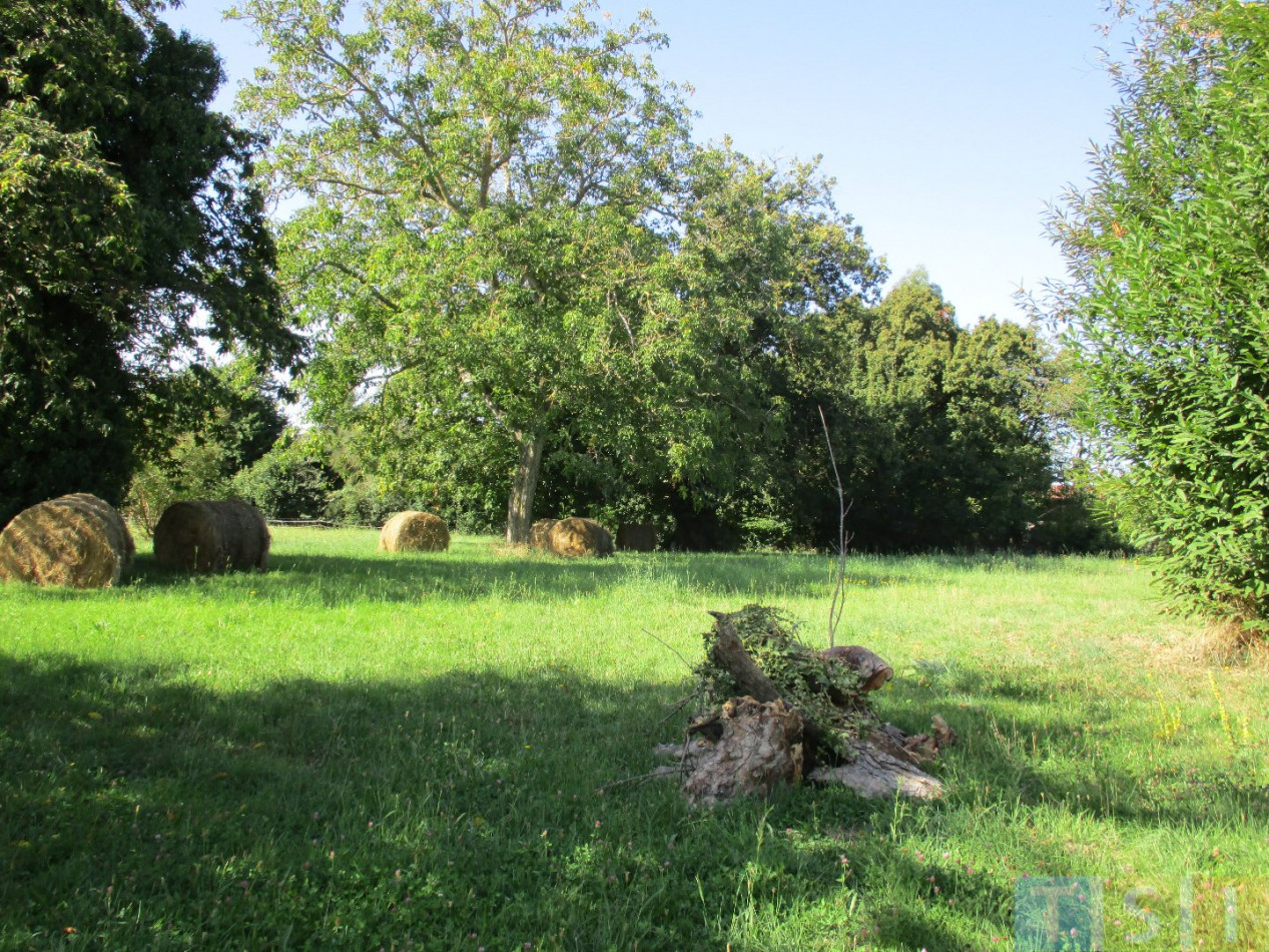 vente Maison Montrejeau - Photo 6