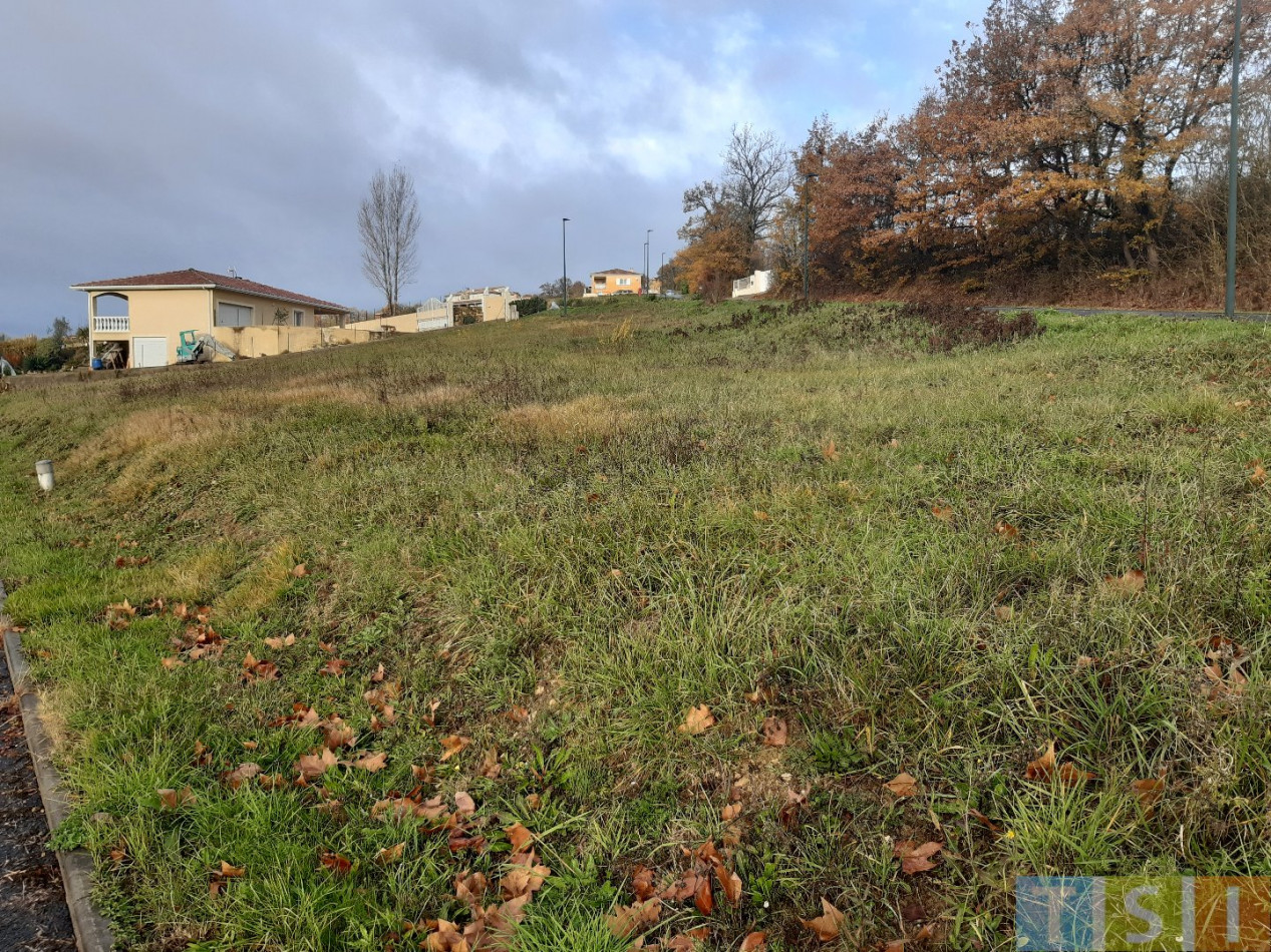 sale Terrain Labastide Paumes - Photo 4