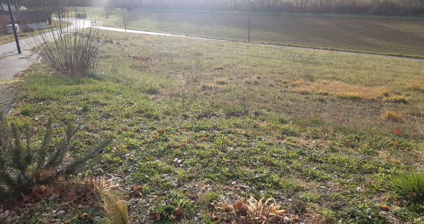 vente Terrain Labastide Paumes