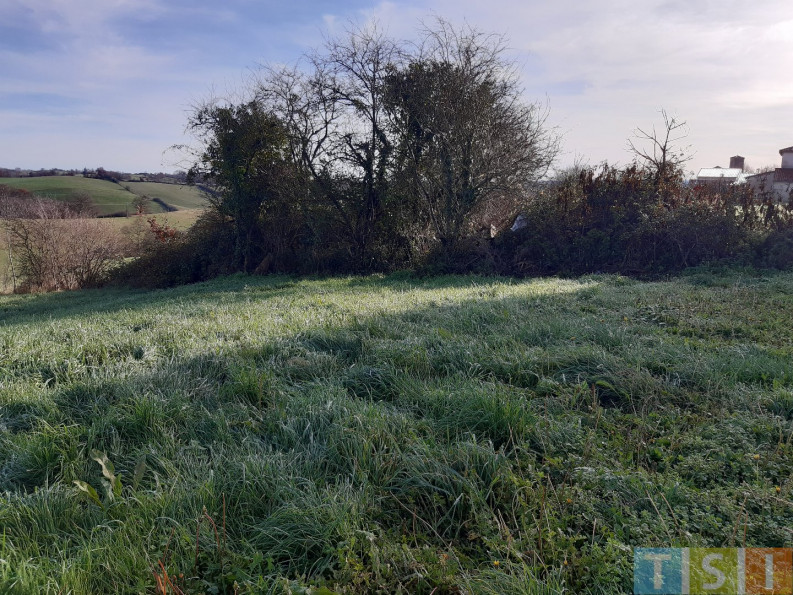 vente Terrain Esparron - Photo 7