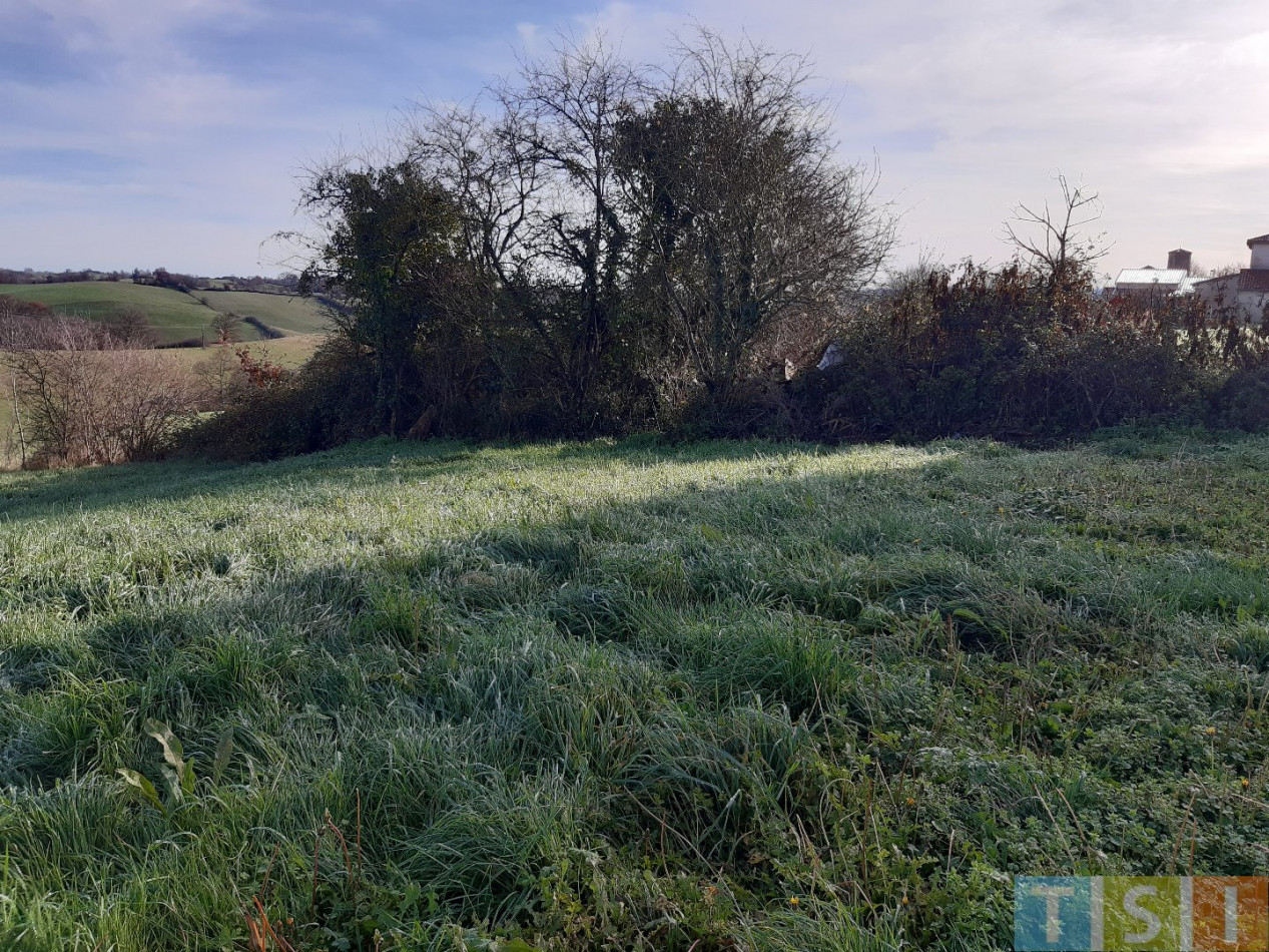 vente Terrain Esparron - Photo 7