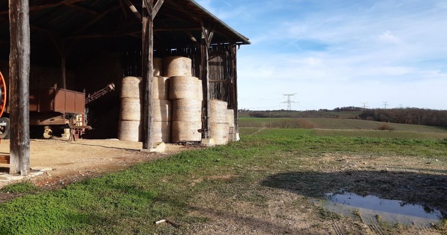 vente Terrain Esparron