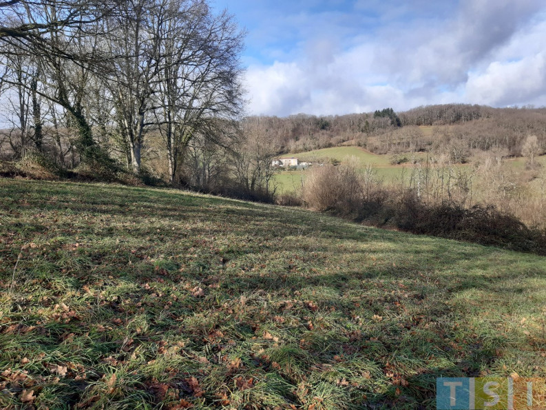 vente Terrain Lalouret Laffiteau - Photo 6