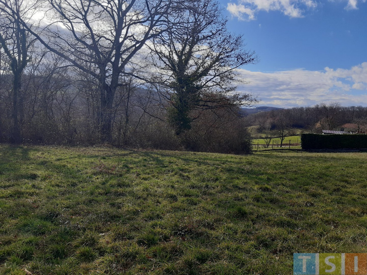 vente Terrain Boulogne Sur Gesse - Photo 7