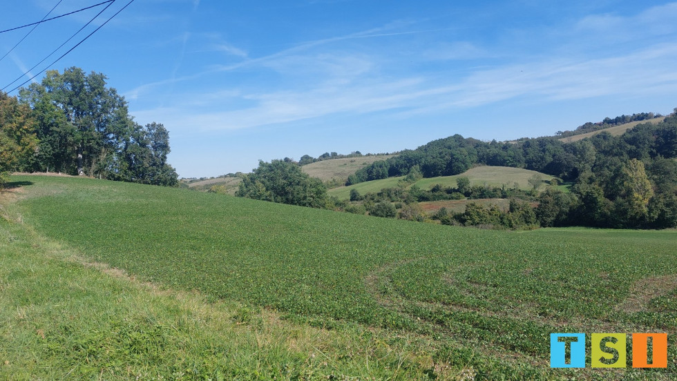 vente Terrain Montbernard