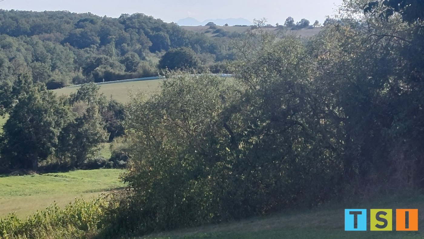 sale Terrain Montbernard - Photo 2