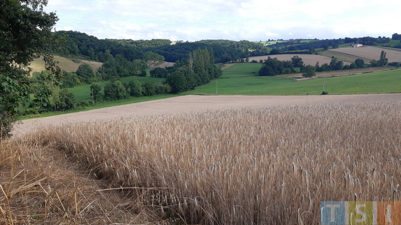 sale Terrain Montbernard - Photo 9