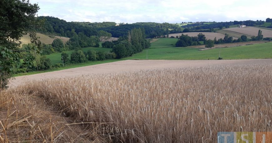 vente Terrain Montbernard