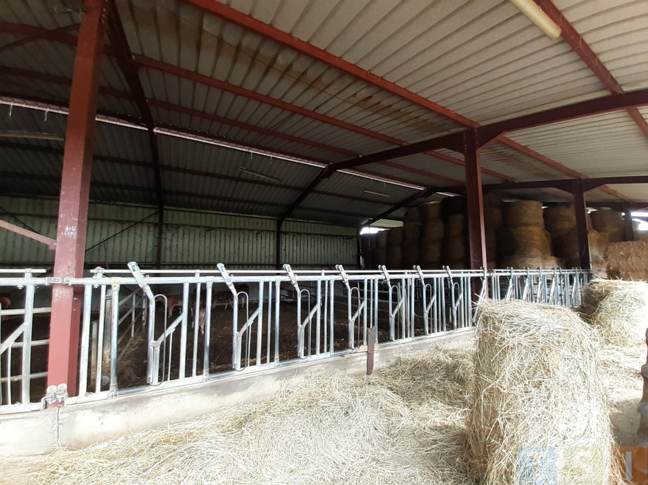 vente Propriété agricole Aurignac - Photo 9
