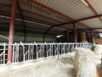 vente Propriété agricole Aurignac