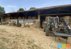 vente Propriété agricole Aurignac