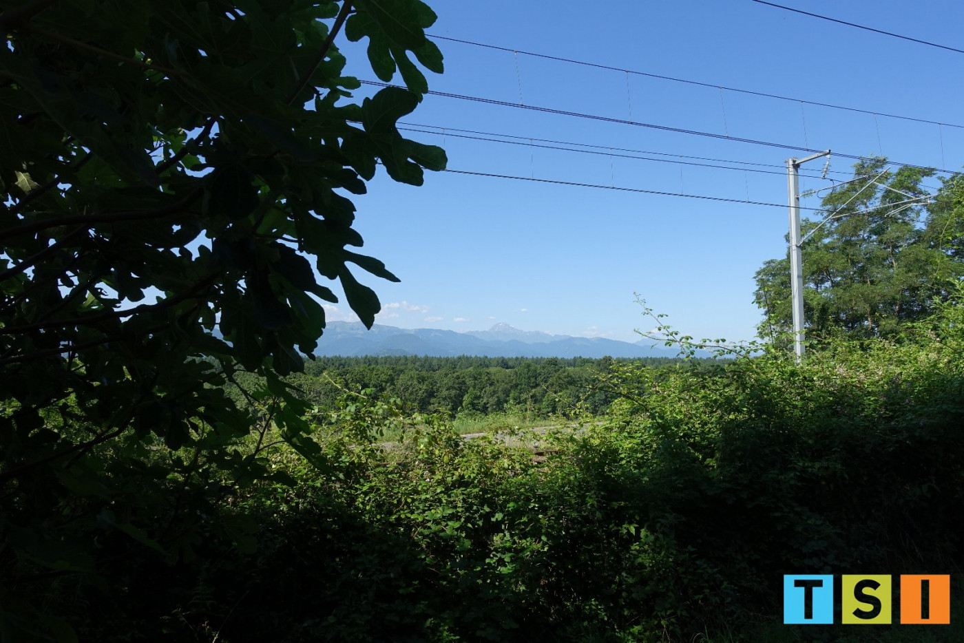 sale Maison Cantaous - Photo 4