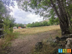 vente Terrain Bagneres De Luchon