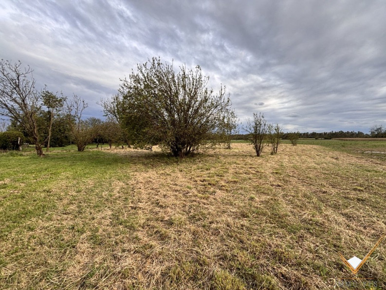 vente Terrain Longages - Photo 1