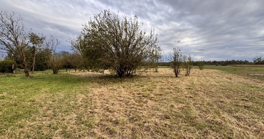 vente Terrain Longages