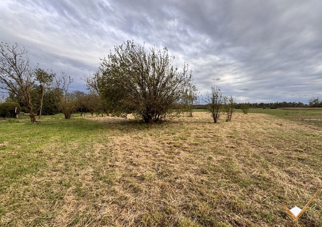 vente Terrain Longages