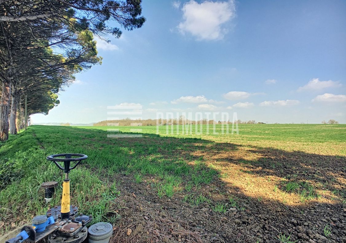 A vendre Terrain agricole Castelnaudary | Réf 31222101 - Primotera