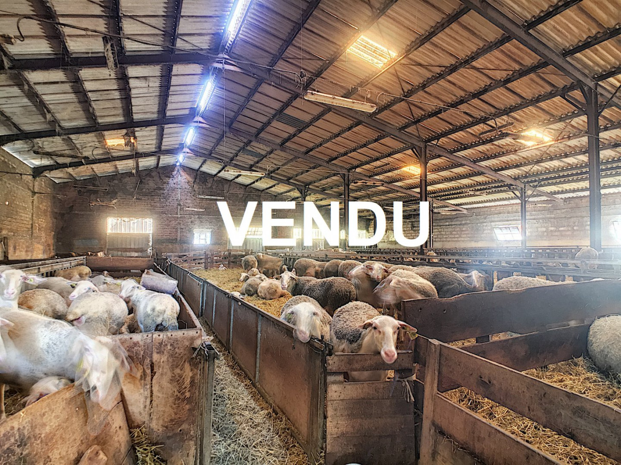 à vendre Propriété agricole Realmont - Photo 1