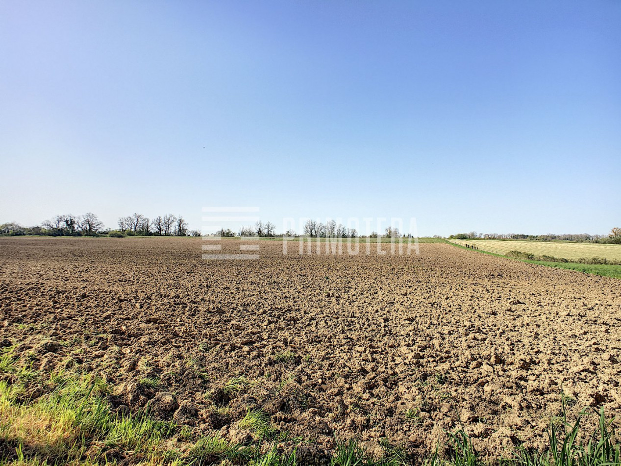 à vendre Propriété agricole Realmont - Photo 8