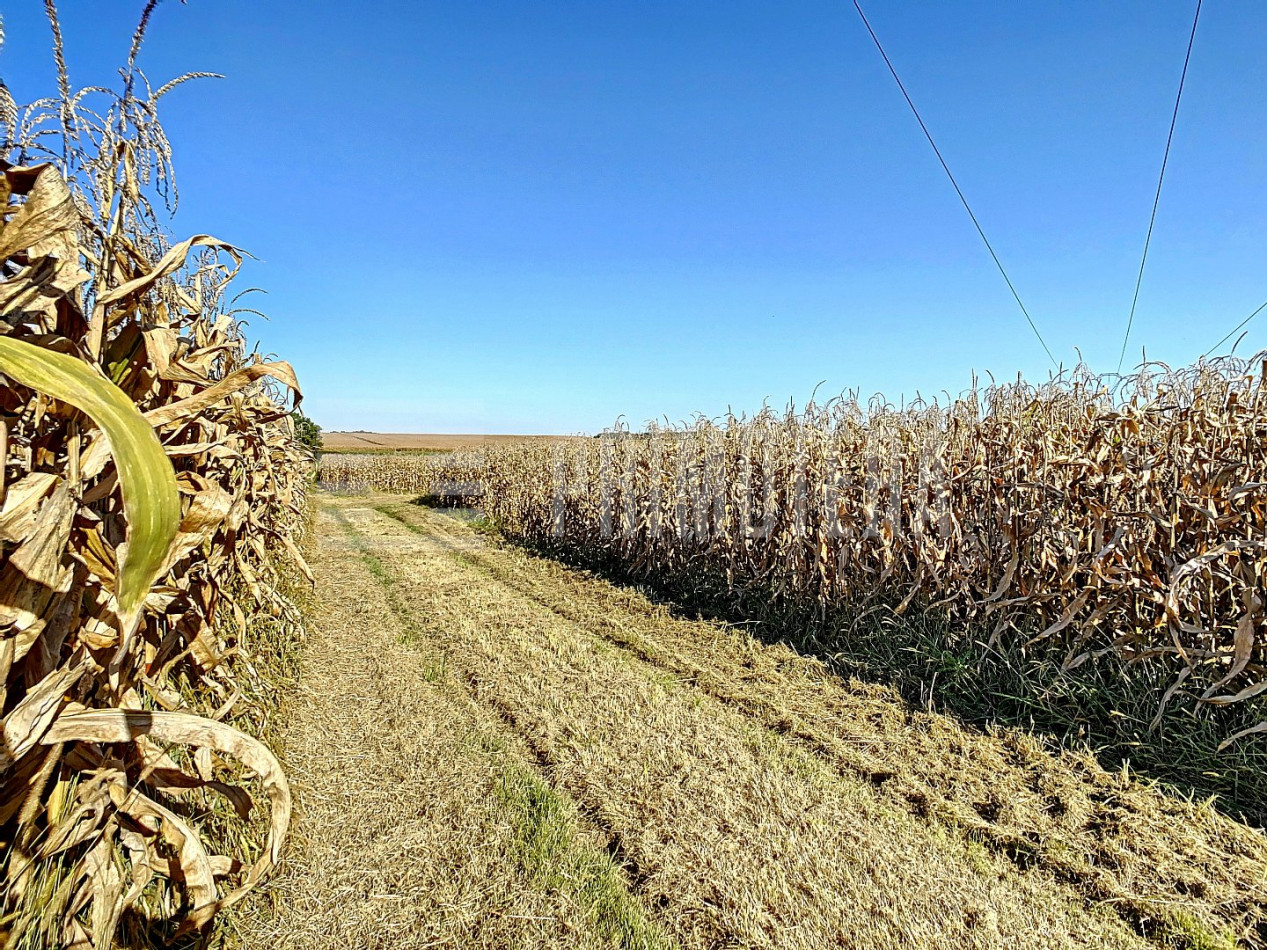 à vendre Propriété agricole Castelsarrasin - Photo 10
