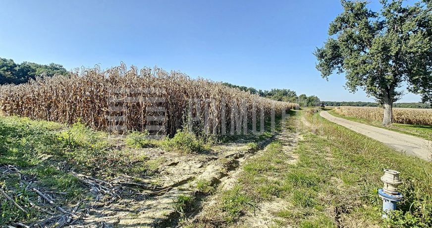 vente Propriété agricole Castelsarrasin