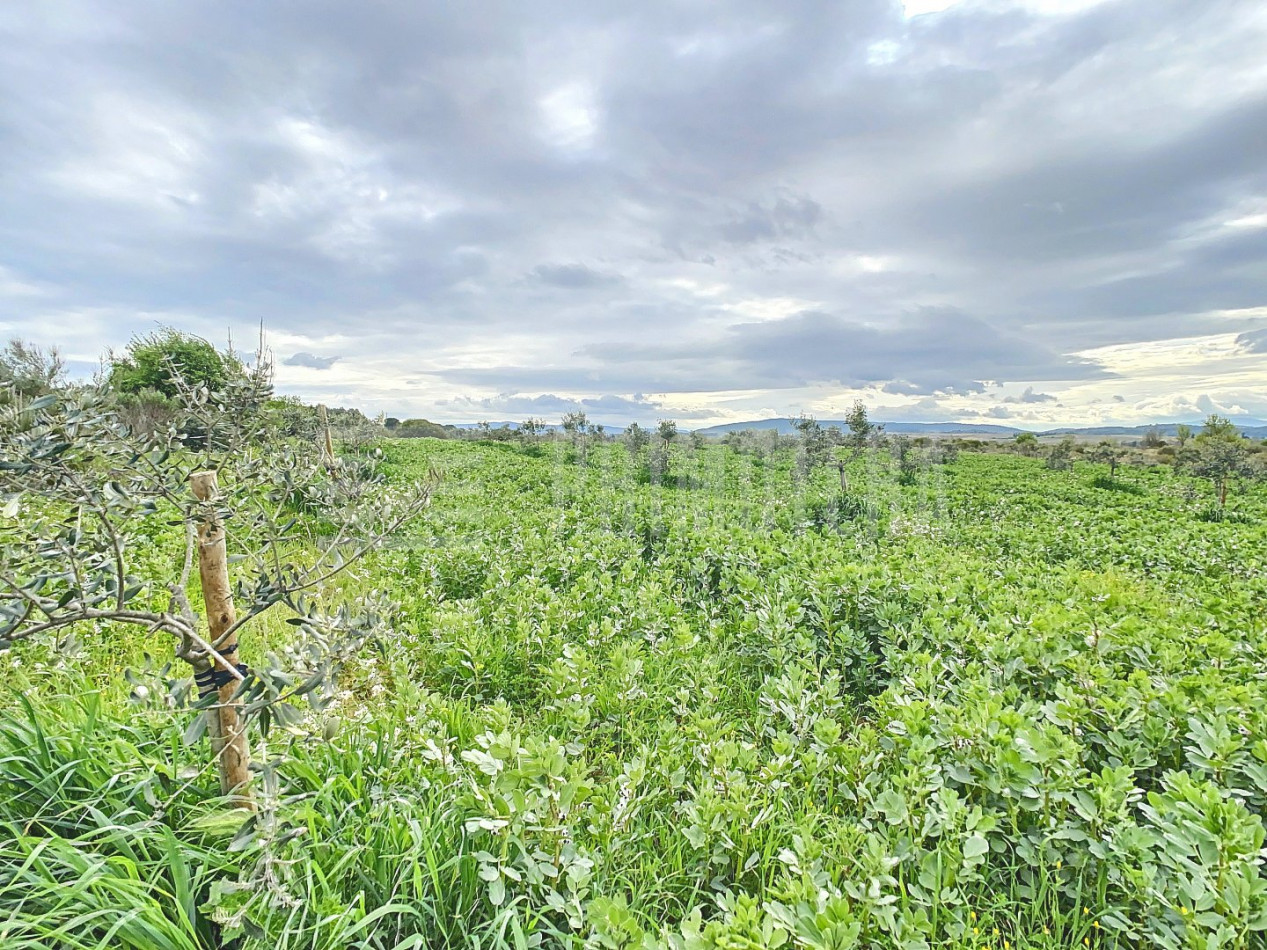 à vendre Terrain agricole Lezignan Corbieres - Photo 4