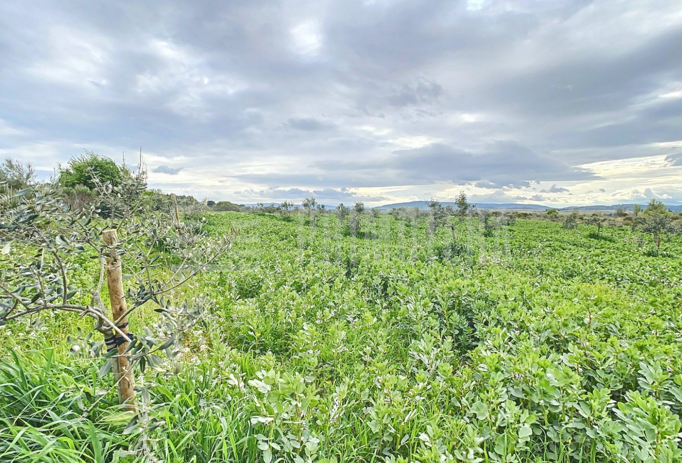 vente Terrain agricole Lezignan Corbieres - Photo 4