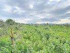 vente Terrain agricole Lezignan Corbieres