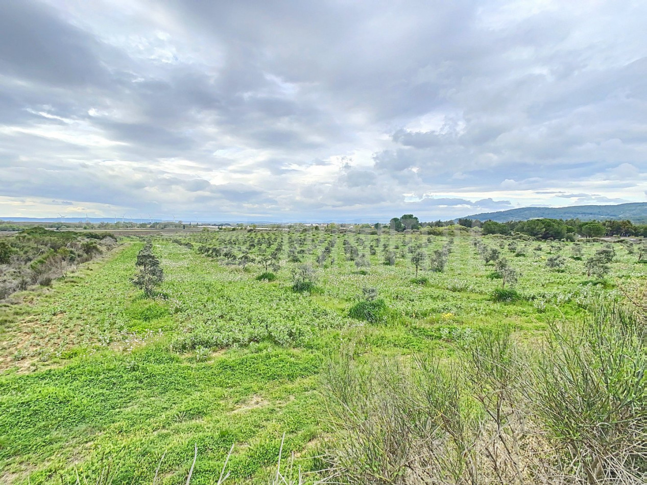 à vendre Terrain agricole Lezignan Corbieres - Photo 3