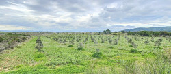 vente Terrain agricole Lezignan Corbieres