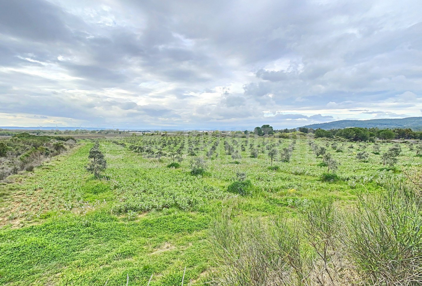 vente Terrain agricole Lezignan Corbieres - Photo 3
