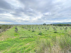 à vendre Terrain agricole Lezignan Corbieres