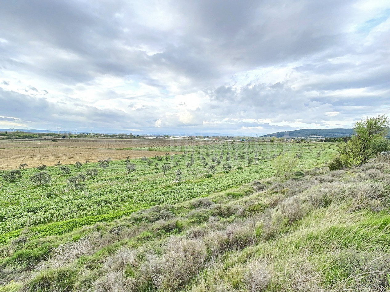 à vendre Terrain agricole Lezignan Corbieres - Photo 2