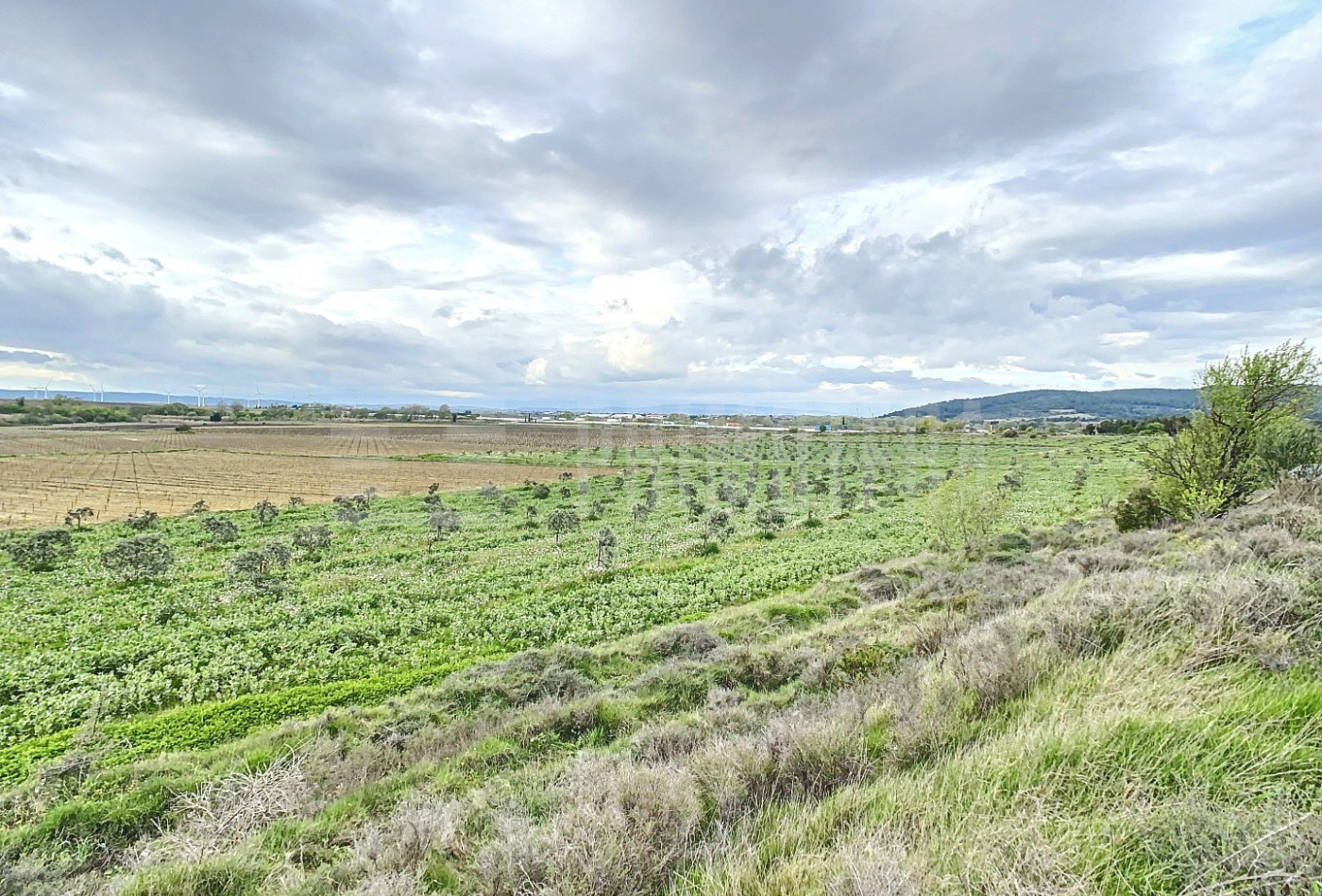 vente Terrain agricole Lezignan Corbieres - Photo 2