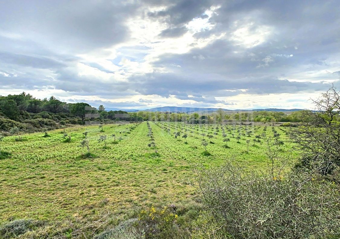 à vendre Terrain agricole Lezignan Corbieres