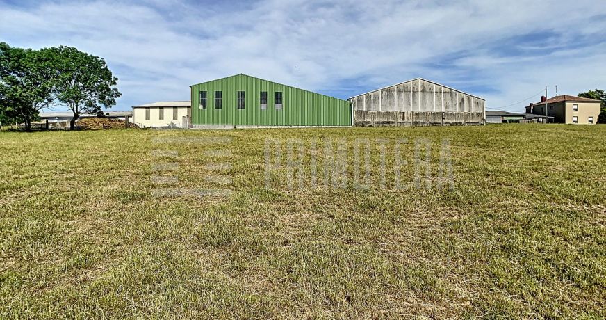 vente Ovins / caprins Albi